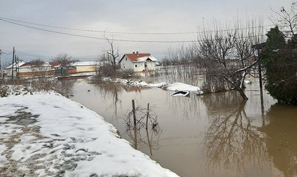 Петар Петковић   